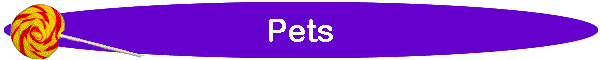Pets